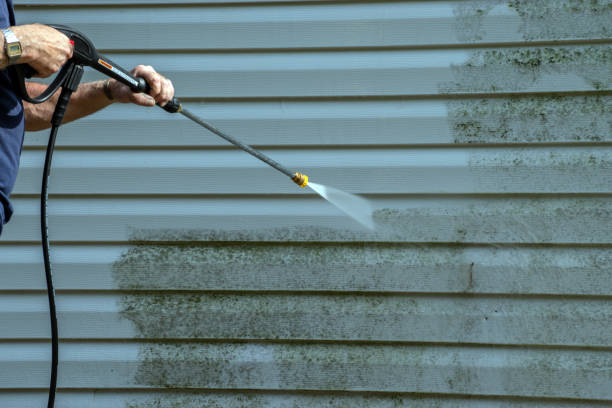Best Window and Screen Pressure Cleaning in Clarinda, IA
